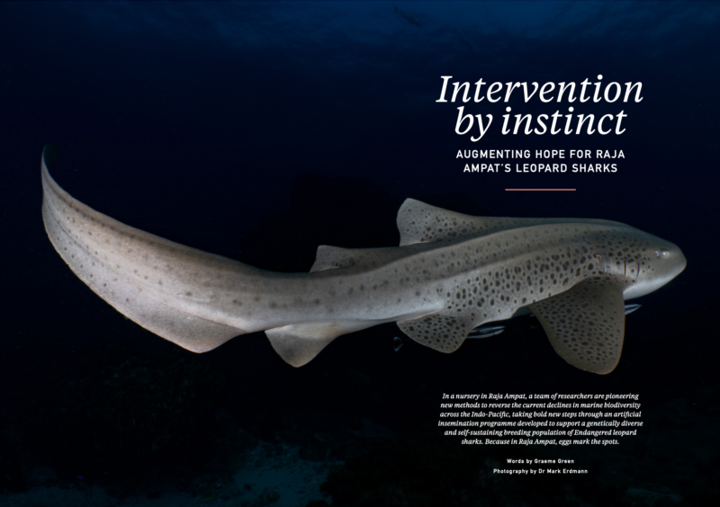 Screenshot 2026-01-05 at 20.20.19