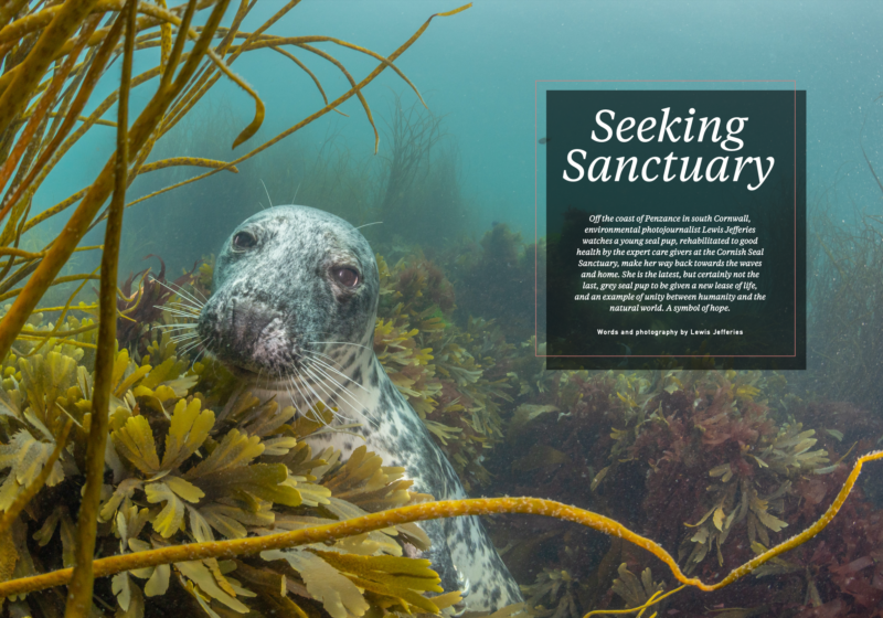 Screenshot 2026-01-05 at 20.22.01