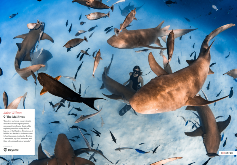 Screenshot 2026-01-05 at 20.38.32