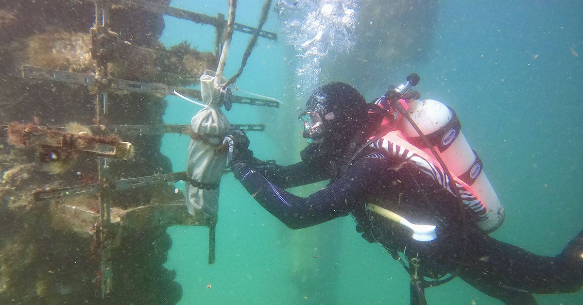 Positive microbe interactions reshape climate predictions