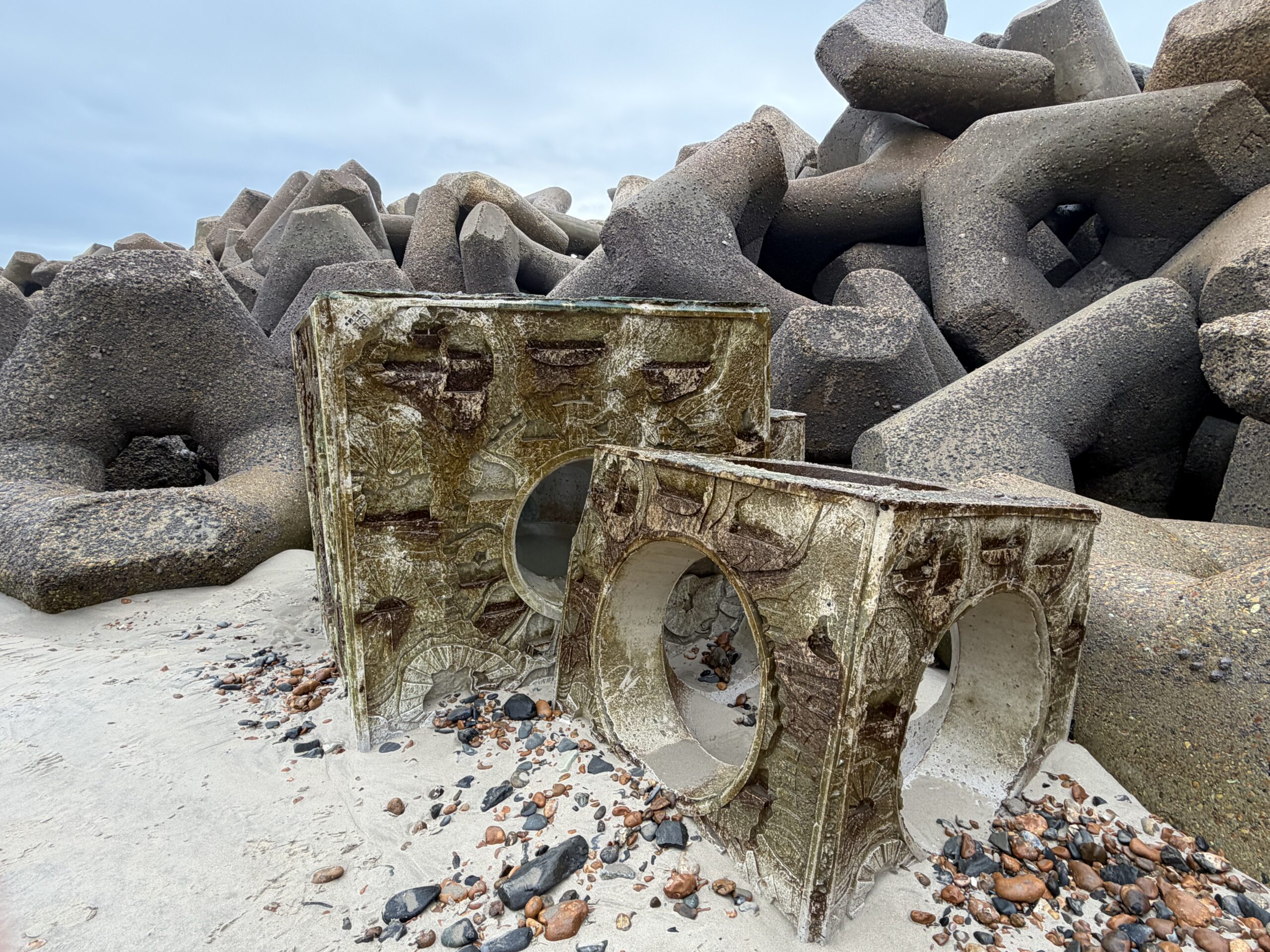 UK’s largest living seawall built on south coast a success