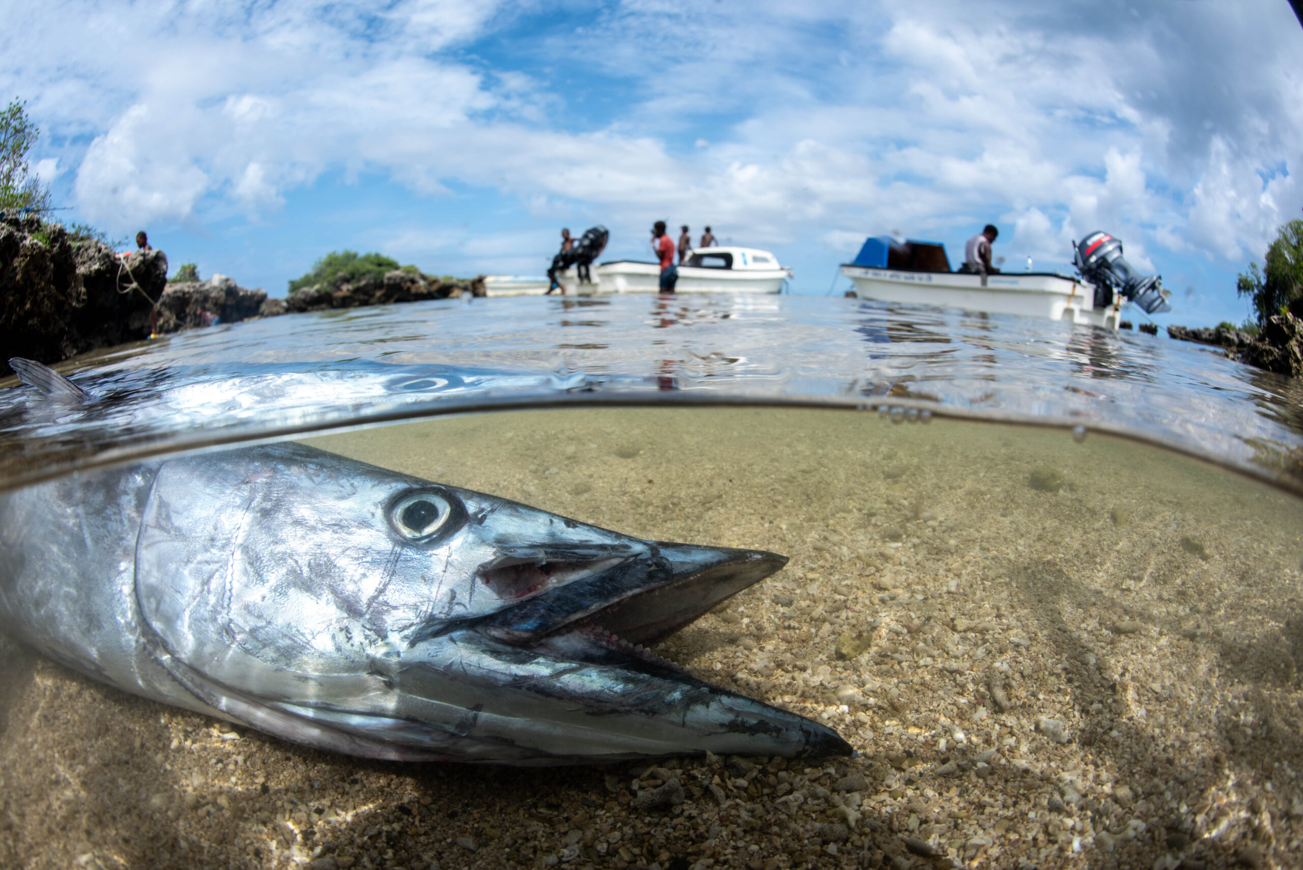 Pacific fisheries microplastics expose urgency of Plastics Treaty