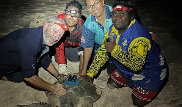 Merging Indigenous and scientific knowledge to protect turtles