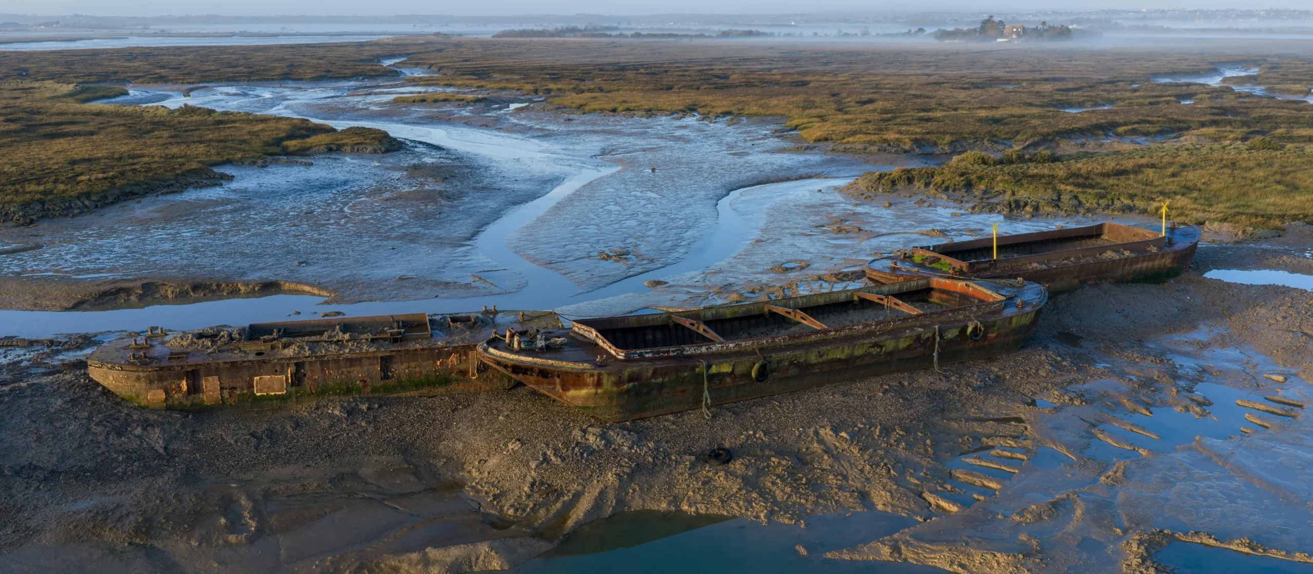Image showcasing Old Thames barges given new lease of life in seabird conservation