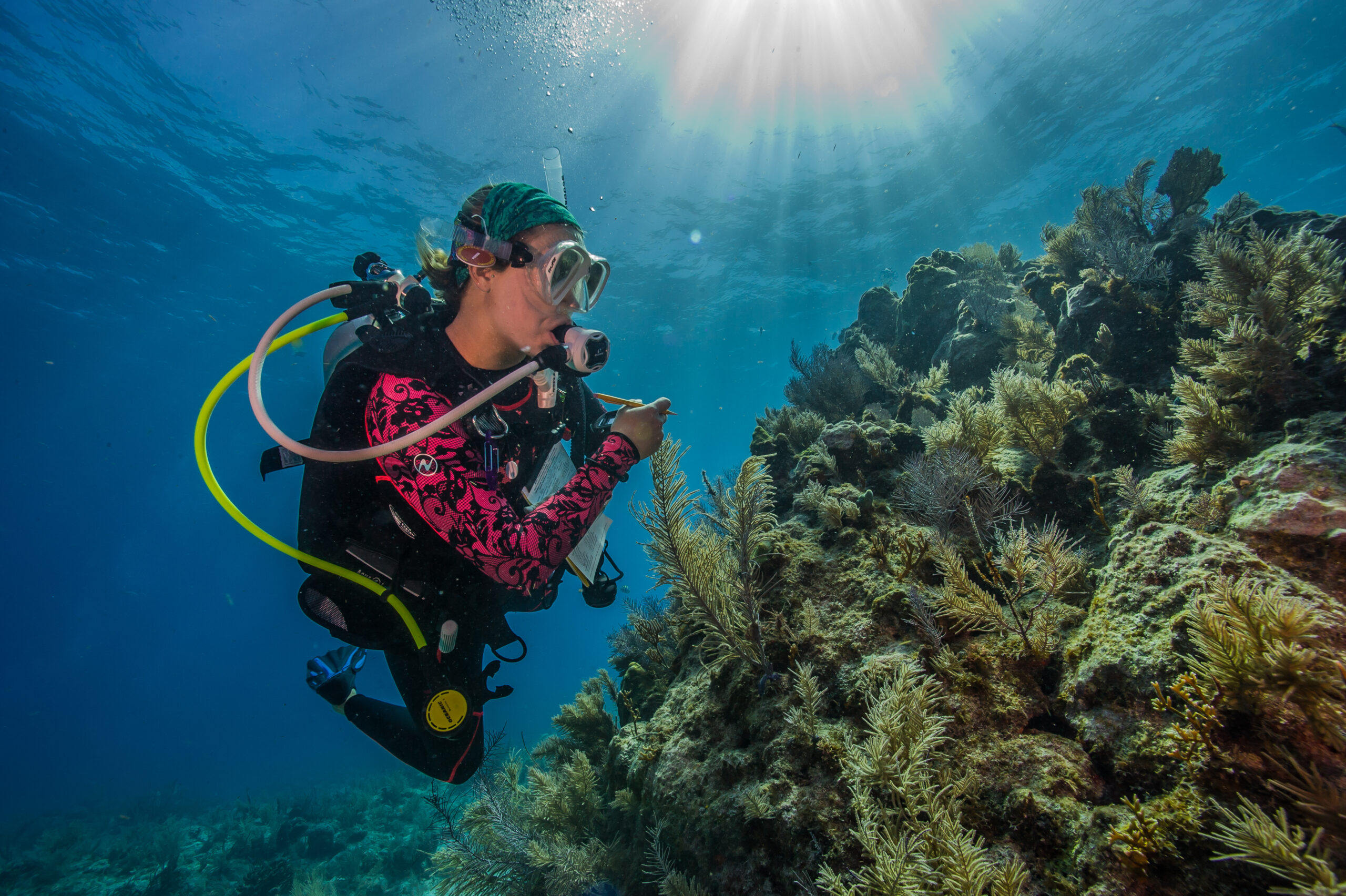 “If you can’t see it, you can’t be it”: Gender parity in marine STEM