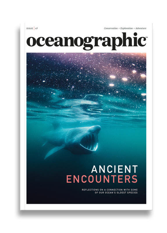 Shop_singleprod_mag_cover_ISSUE47