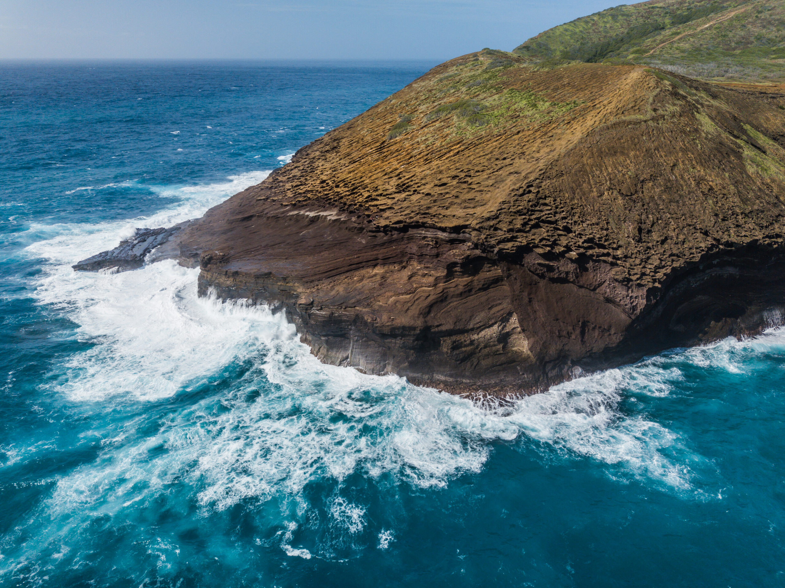 NGOs condemn UK plan to cut climate aid and Blue Planet fund