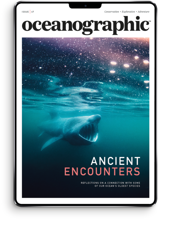 OG_newissueCOVER_master_DIGITAL_newsize_47