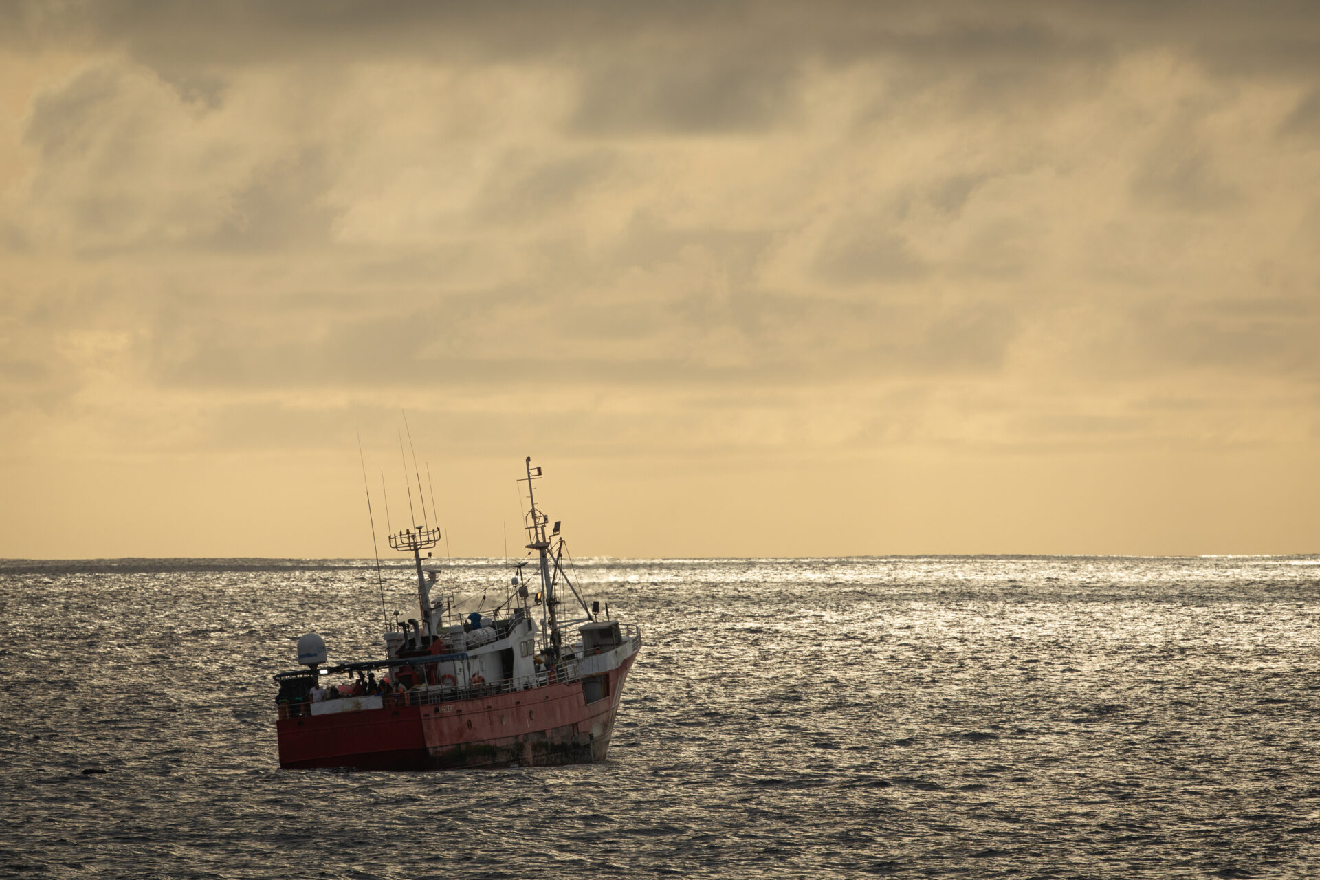 El tratado de los altos mares debe detener a los grupos de presión y llevar la ciencia