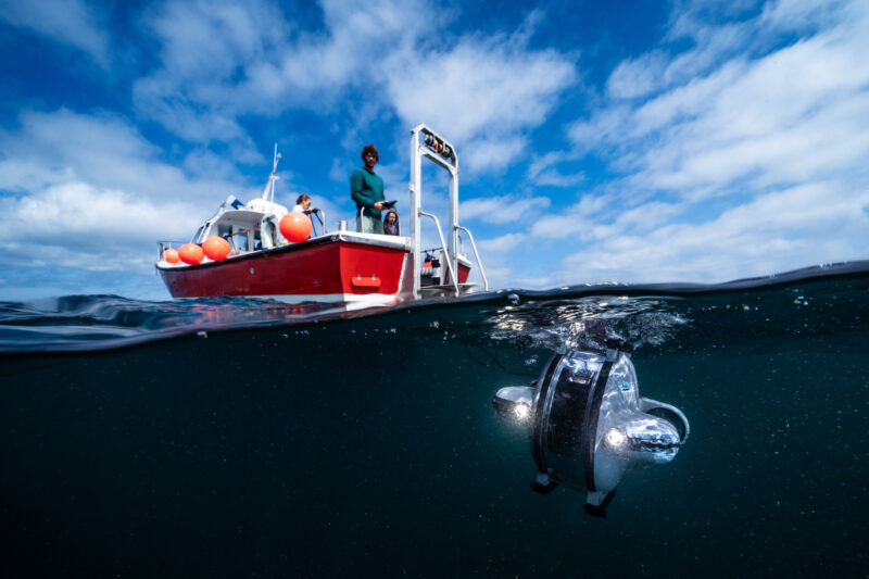 Convex Seascape Survey
