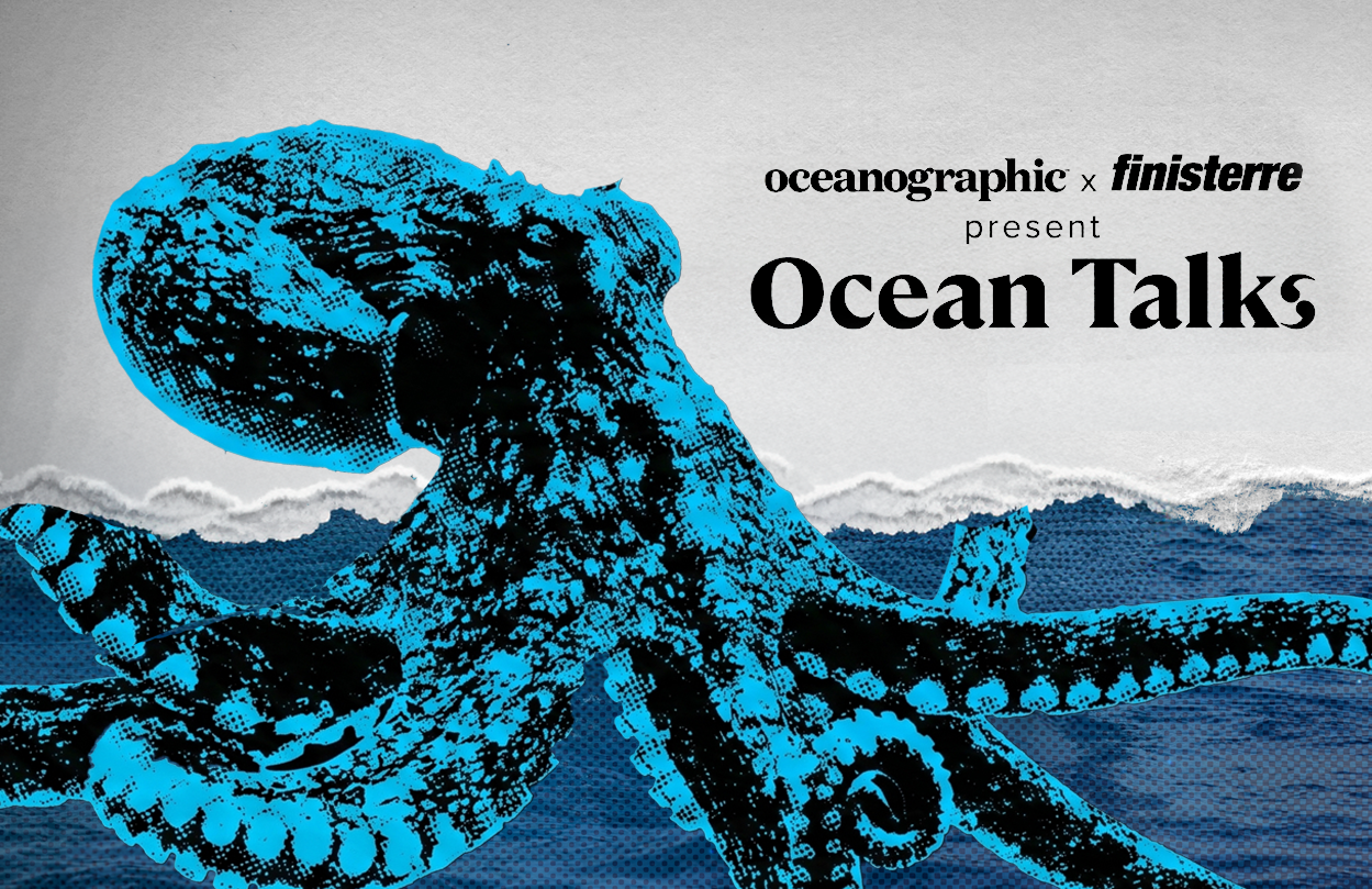 Ocean in bloom – Ocean storytelling through a Cornish lens