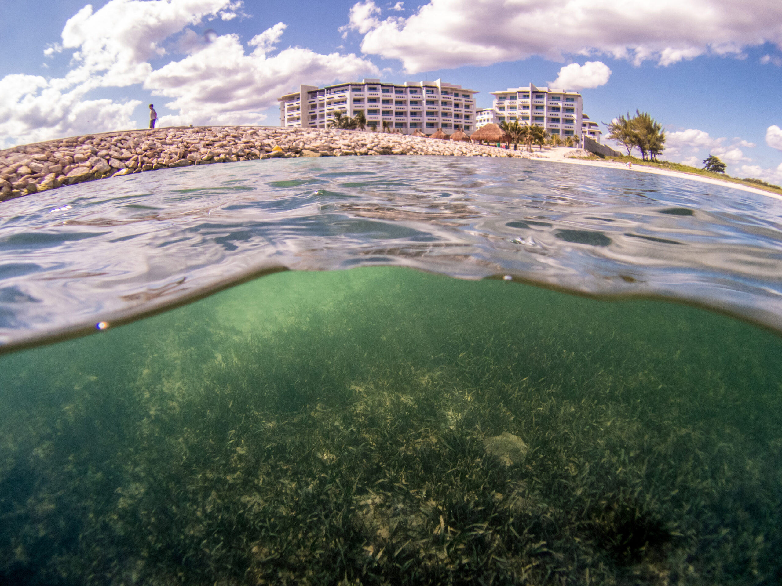 Global ocean protection target will fail without human rights