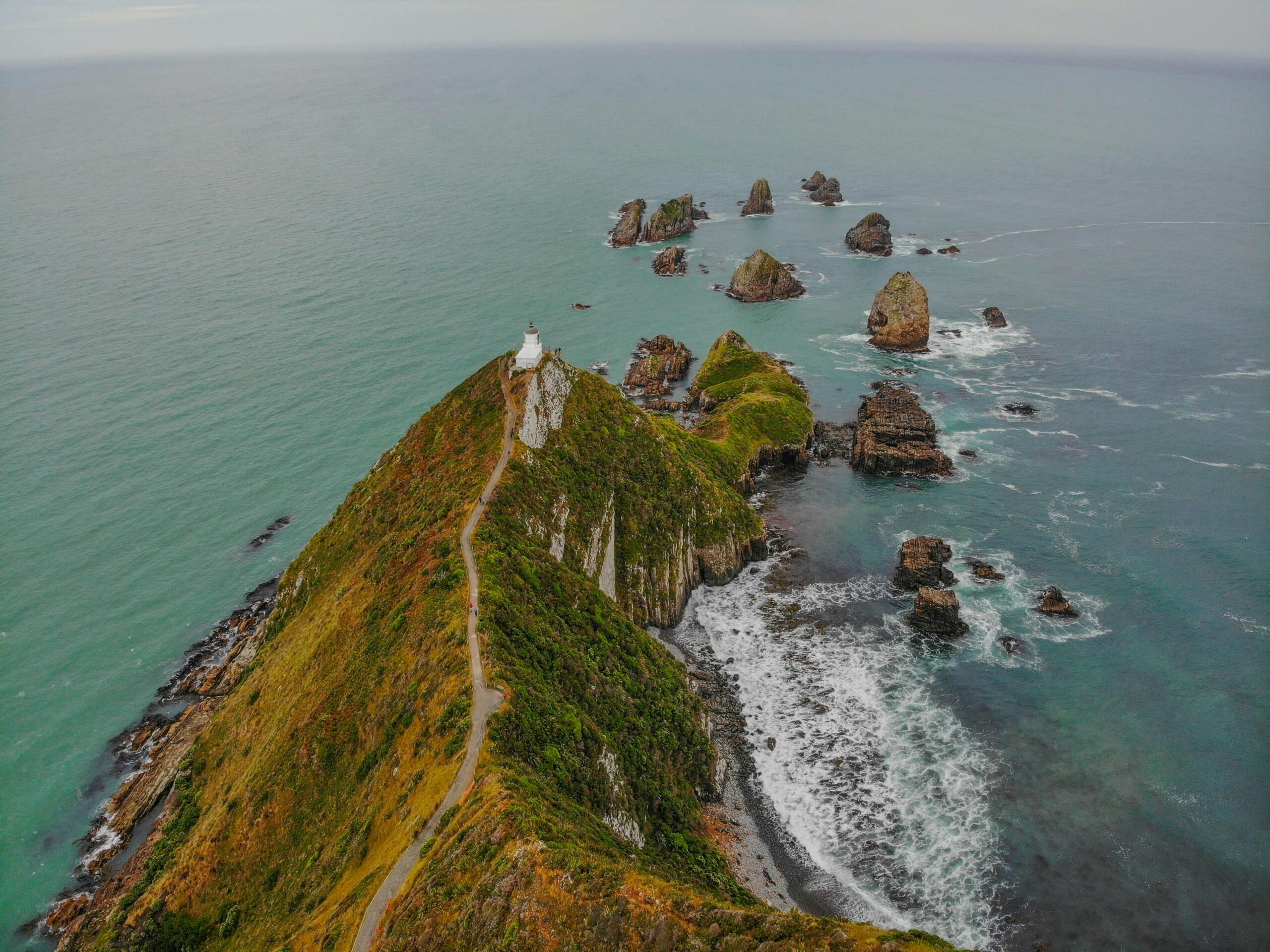 Aotearoa New Zealand marks biggest marine reserve expansion in over a decade