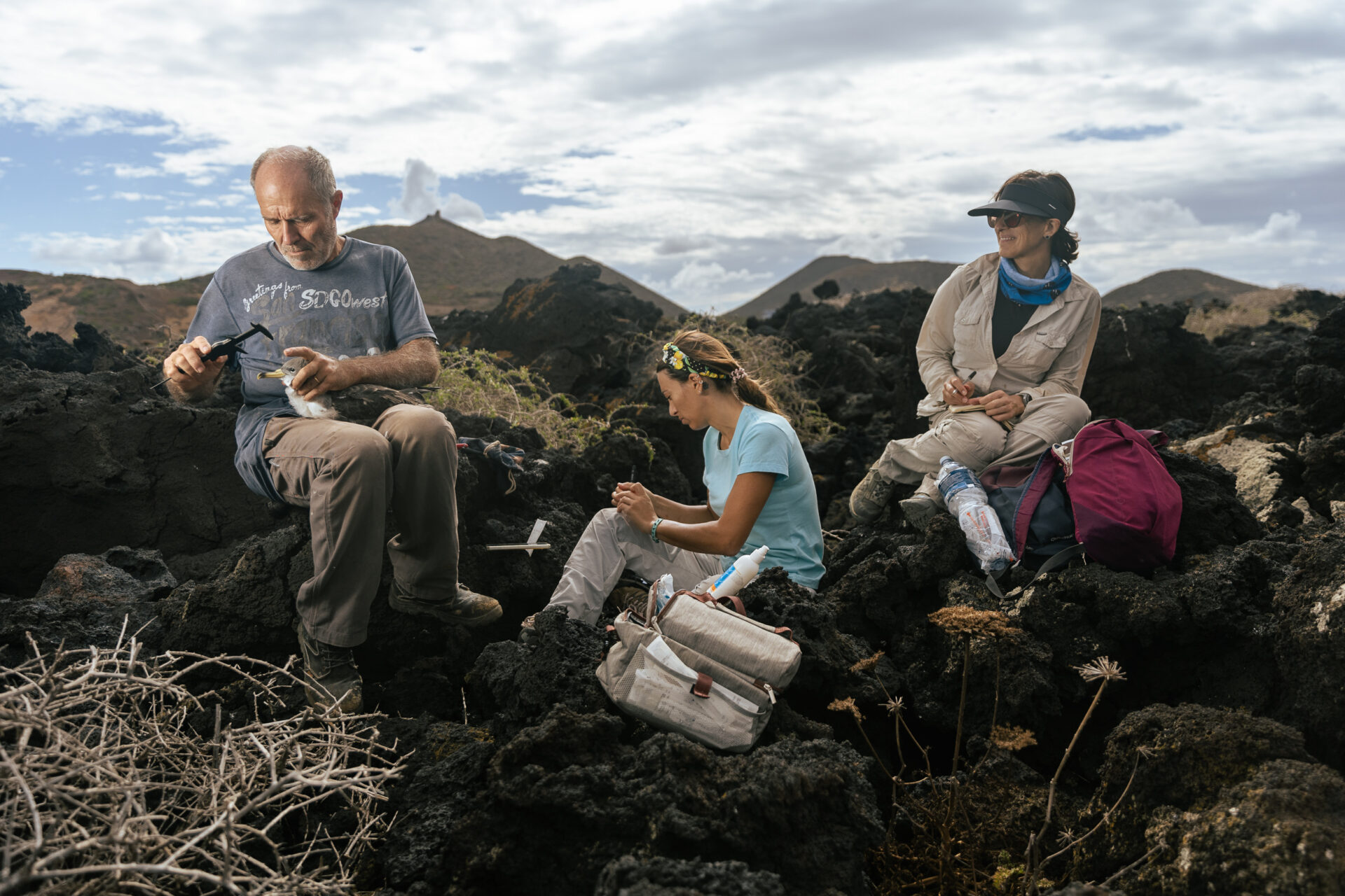 a team measuring and collecting data on Linosa's seabirds