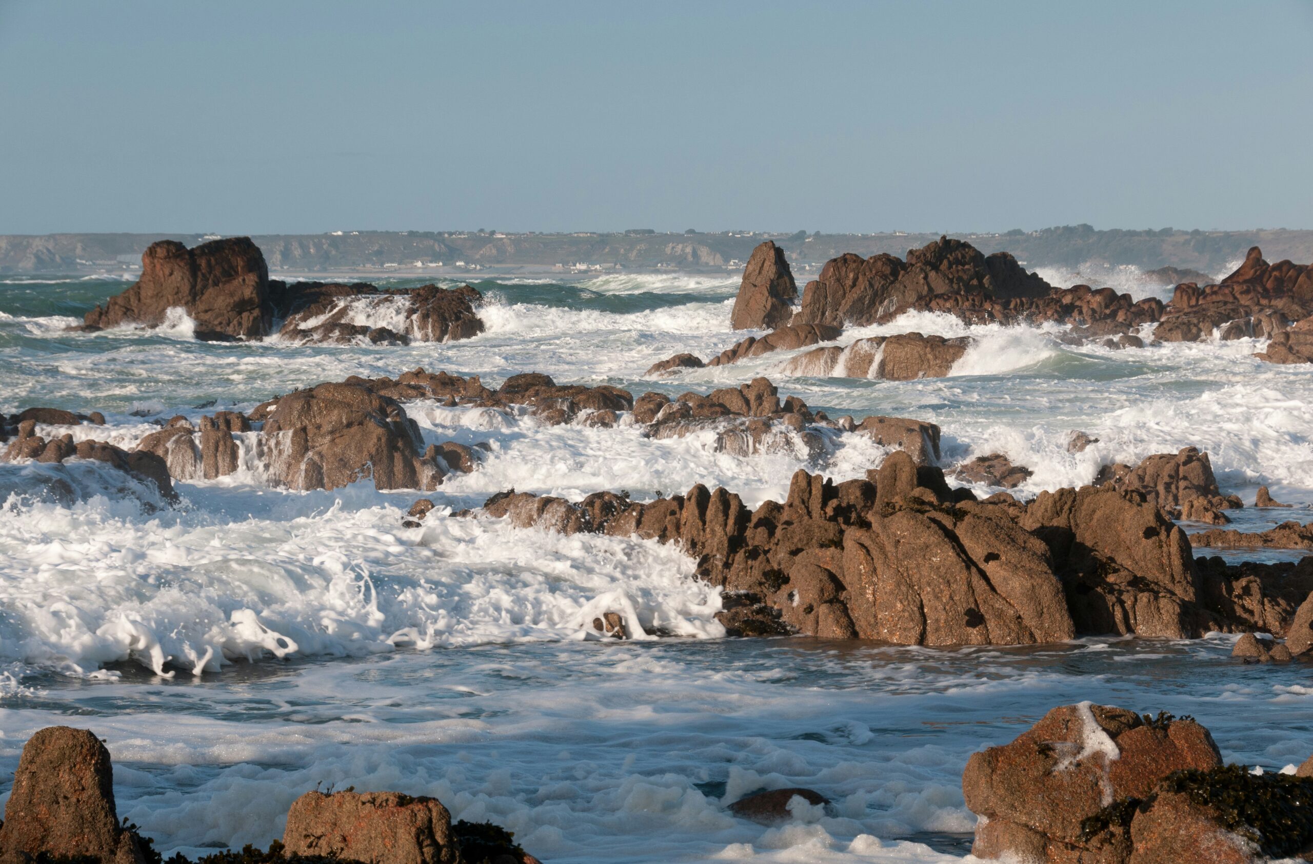 Channel Islands authorize commercial fishing for returning Atlantic Bluefin