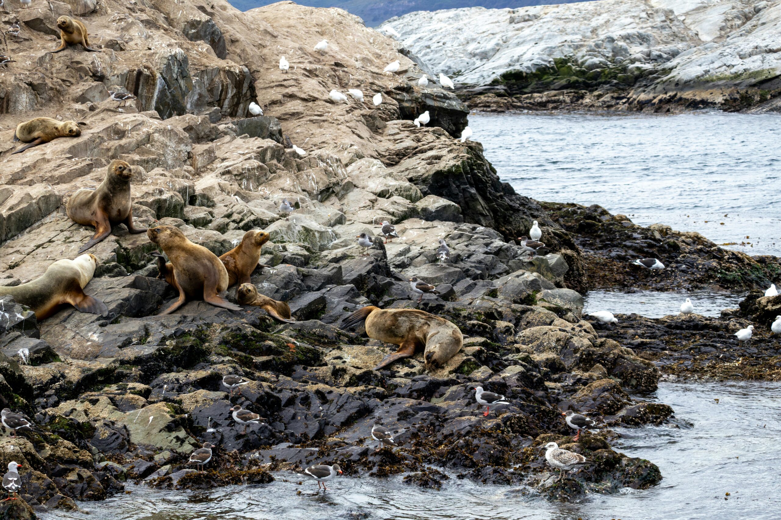 Tides off Patagonia are strongest they've been since the Ice Age - Oceanographic Magazine image