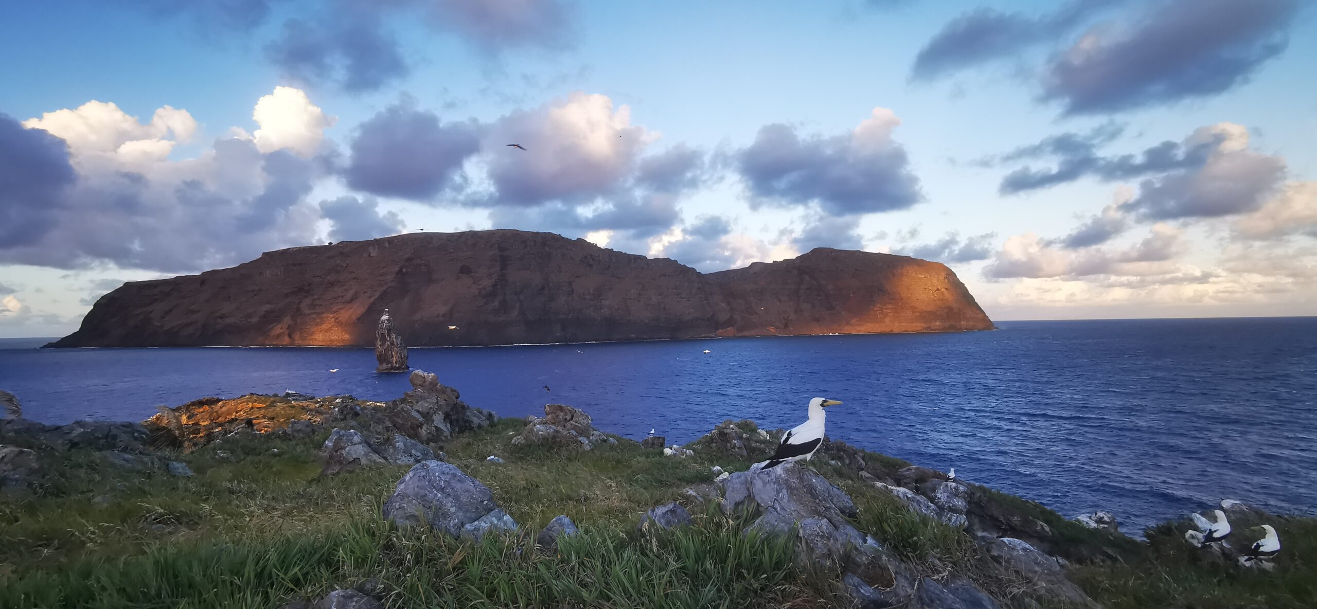 Indigenous-led MPA secures critical international partnerships