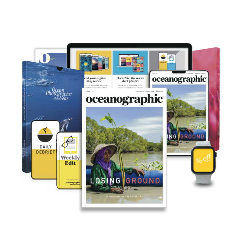 Subs package print_ banner_50