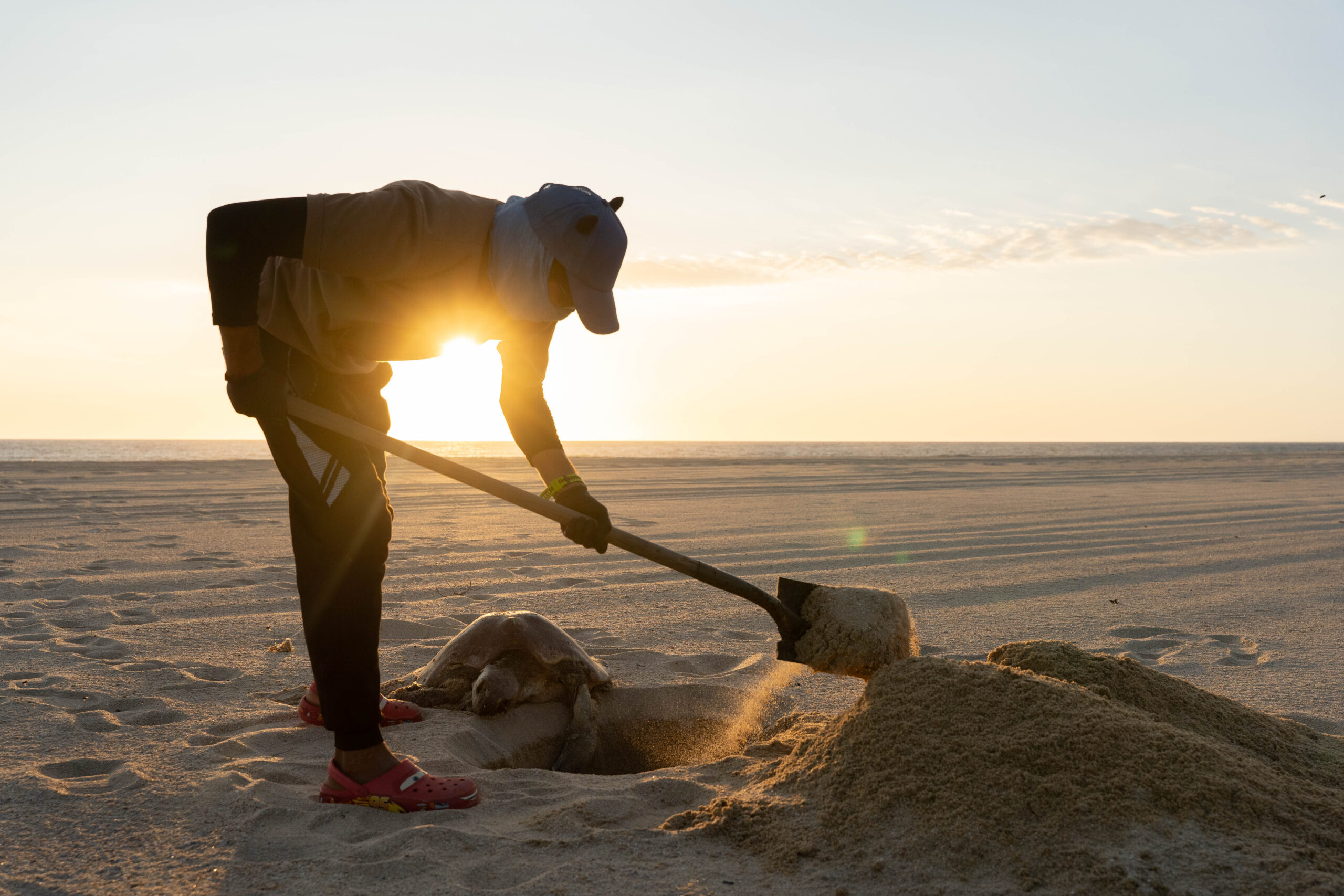Israel Oblea (25) digs a hole to bury an Olive-Ridley turtle in