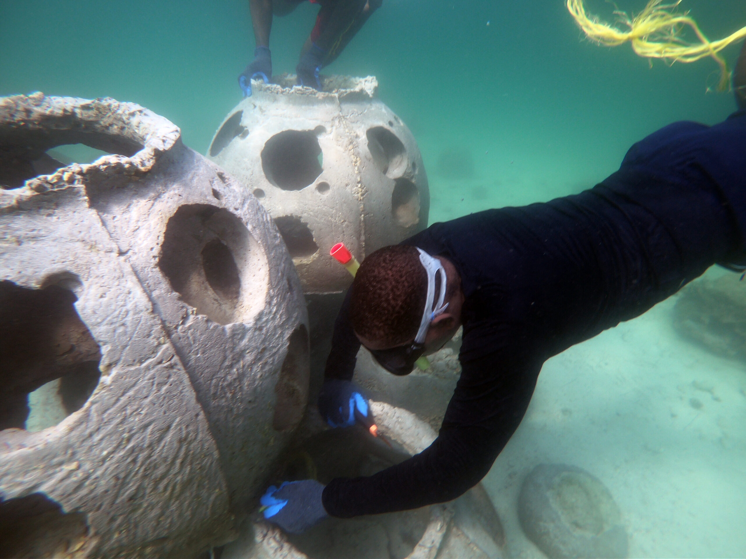 Simplifying Coral Protection: A Call for Action